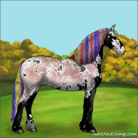 Horse Color:Painted Plaid  Chocolate Palomino Onyx Sabino Brindle 