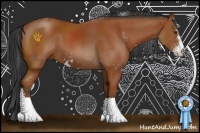 Horse Color:Bay Sabino 