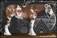 Horse Color:Brown Sabino Rabicano