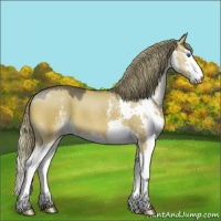 Horse Color:White Spotted Liver Red Dun Splash 