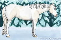Horse Color:Perlino Roan Dun Splash Tobiano