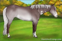 Horse Color:Chocolate Silver Brown Chinchilla Sabino 