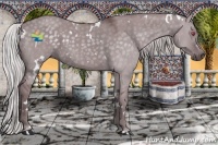 Horse Color:White Spotted Chocolate Silver Grullo Chinchilla