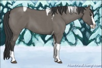 Horse Color:Smoky Grullo Roan Splash Tobiano 