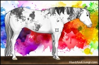 Horse Color:White Spotted Smoky Black Splash Rabicano