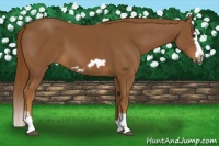 Horse Color:Chestnut Splash Frame 