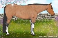 Horse Color:Bay Roan Tobiano