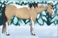 Horse Color:Bay Roan Dun Splash Tobiano