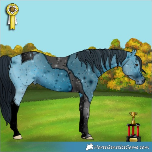 Horse Color:ERROR: UNKNOWN ANOMALY