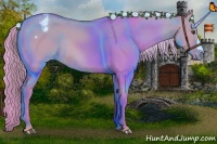 Horse Color:Watercolor Palomino Dun Appaloosa 