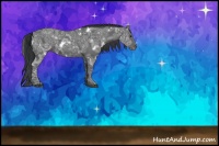Horse Color:White Spotted Black Ice 