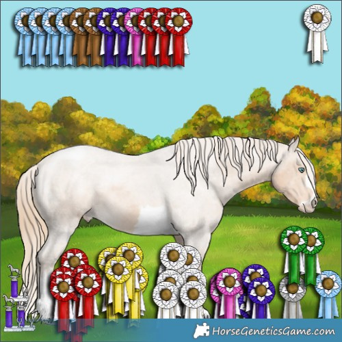 Horse Color:Perlino Appaloosa 