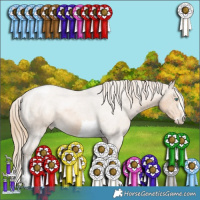 Horse Color:Perlino Appaloosa
