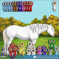 Horse Color:Perlino Appaloosa