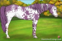 Horse Color:Watercolor White Spotted Chestnut 