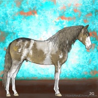 Horse Color:White Spotted Liver Red Dun Mushroom Sabino Brindle 