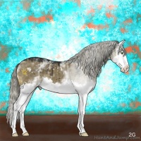 Horse Color:White Spotted Liver Red Dun Sabino Splash 