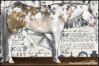 Horse Color:Brown Dun Sabino 