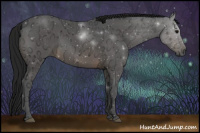 Horse Color:Gray Brown Ice 