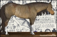 Horse Color:Liver Red Dun Rabicano 