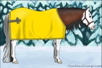 Horse Color:Brown Splash