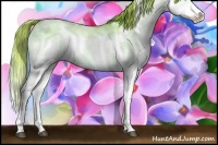 Horse Color:Watercolor White Spotted Liver Red Dun Ice Pearl Splash Brindle 