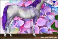 Horse Color:Painted Watercolor White Spotted Brown Ice Onyx Rabicano