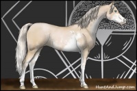 Horse Color:Palomino Pearl Sabino 