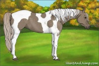 Horse Color:Silver Grullo Tobiano 