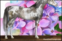 Horse Color:White Spotted Liver Chestnut Ice Sabino Rabicano