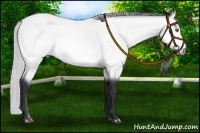 Horse Color:Silver Buckskin Chinchilla 