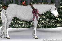 Horse Color:Silver Classic Champagne Chinchilla Dun Sabino 