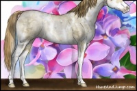Horse Color:White Spotted Buckskin Ice Pearl Dun Splash 