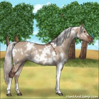 Horse Color:White Spotted Chocolate Silver Brown Dun