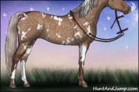 Horse Color:White Spotted Chocolate Silver Brown Dun