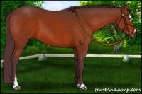Horse Color:Chocolate Brown Sabino