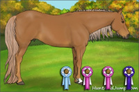 Horse Color:Gray Palomino