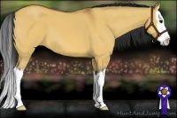 Horse Color:Bay Roan Dun Splash