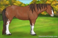 Horse Color:Chestnut Splash Tobiano and Bay Splash Tobiano