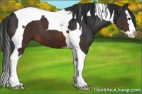Horse Color:Brown Splash Tobiano