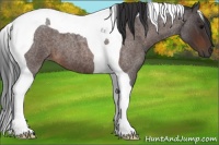Horse Color:Brown Roan Tobiano 