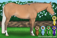 Horse Color:Gray Silver Perlino 
