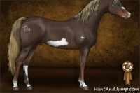 Horse Color:Liver Chestnut Frame 