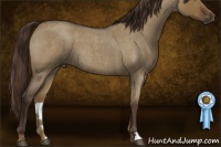 Horse Color:Liver Red Dun Roan