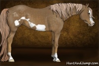 Horse Color:Chocolate Palomino Frame 