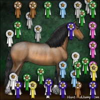 Horse Color:Buckskin Roan Rabicano 