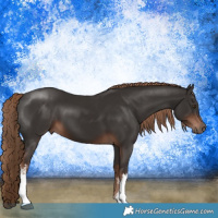 Horse Color:White Spotted Liver Chestnut 