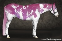 Horse Color:Watercolor White Spotted Liver Chestnut Splash Rabicano 