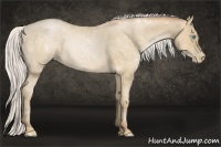 Horse Color:Silver Buckskin Pearl 