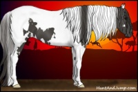 Horse Color:White Spotted Smoky Black Tobiano 